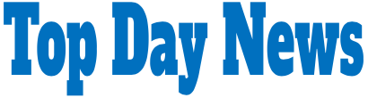 Логотип сайта Top Day News